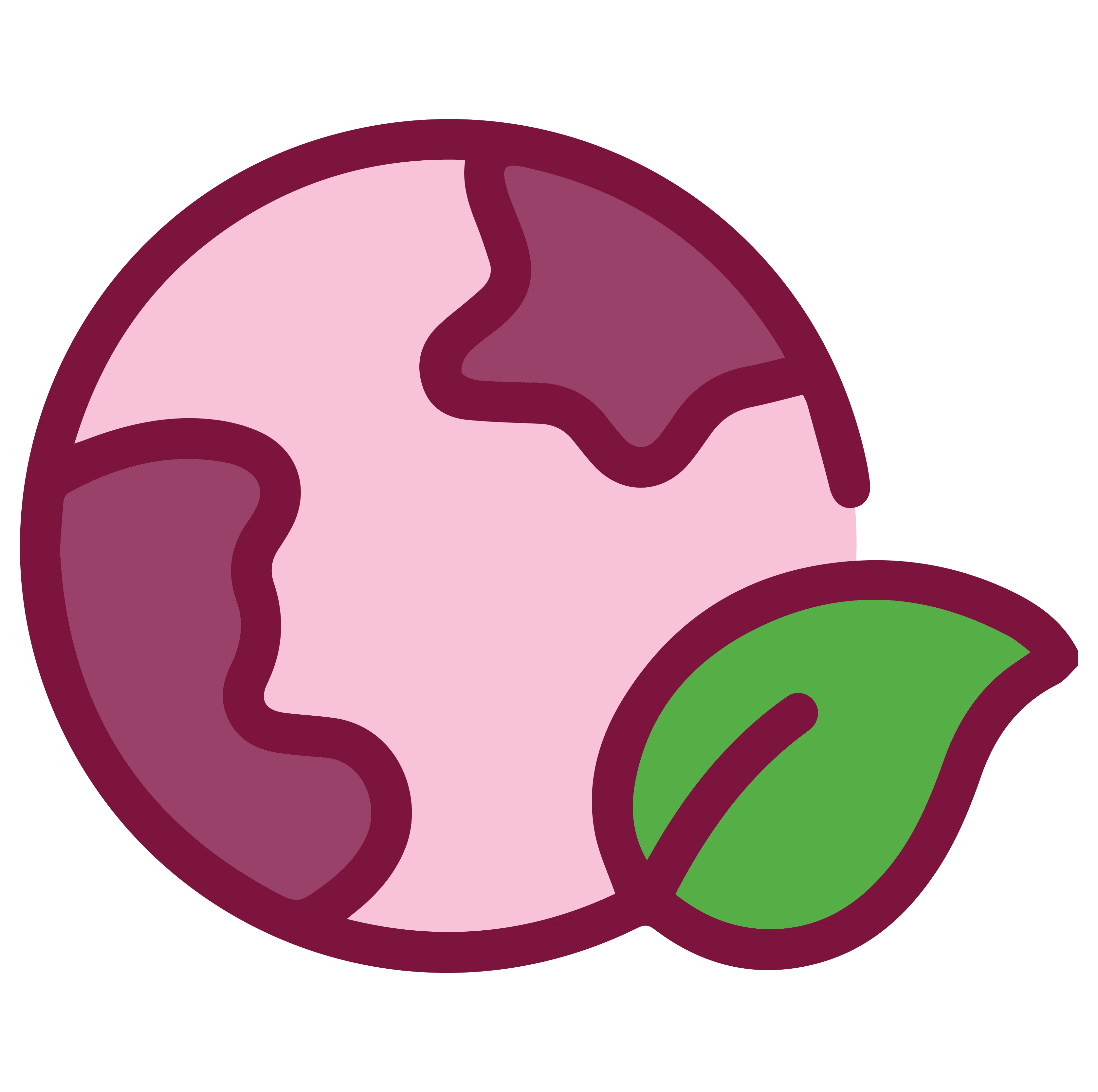 Fruit Icon